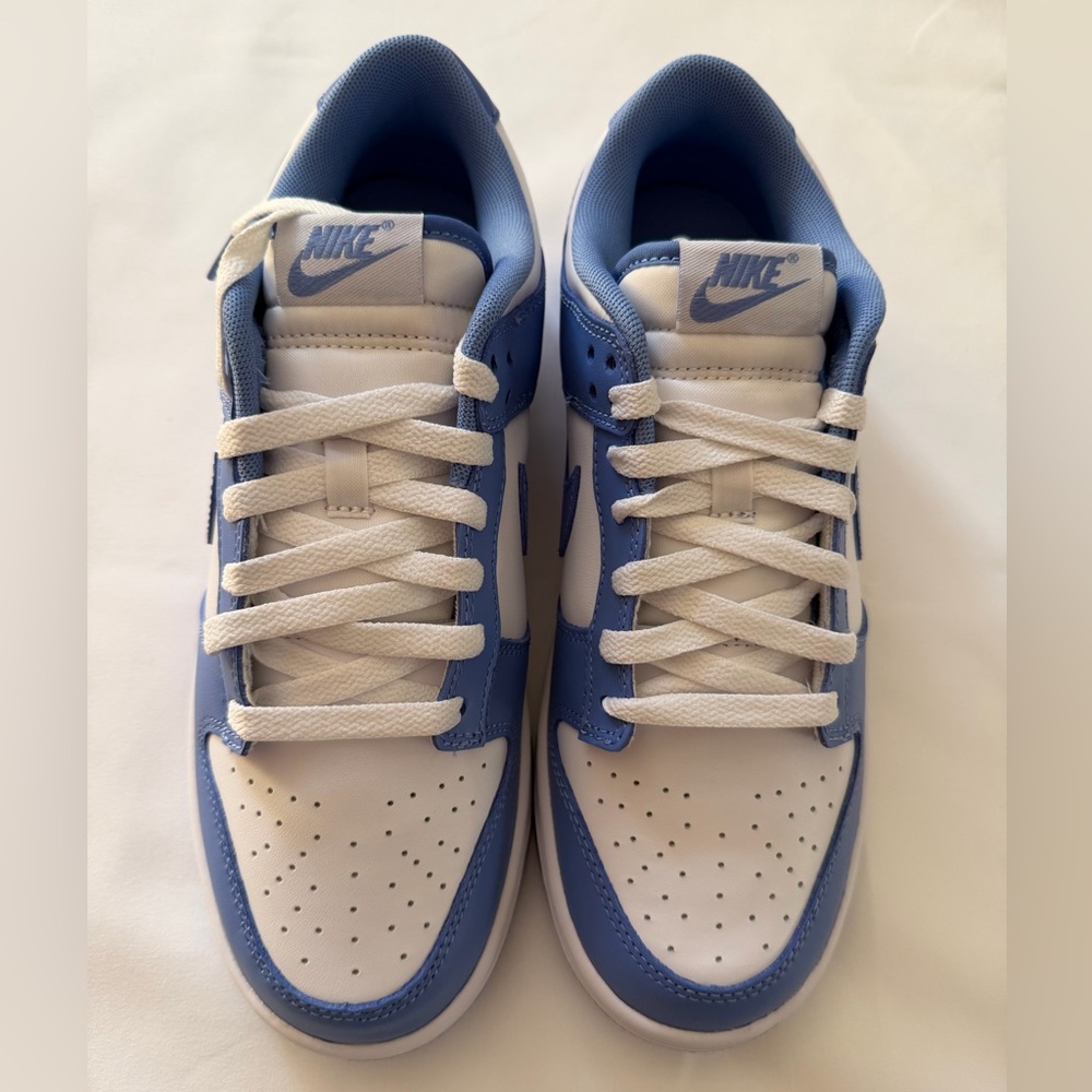 Nike Dunk Low Retro, ‘Polar Blue’